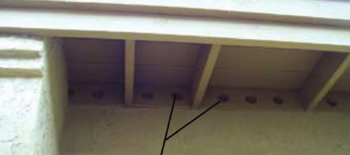 vent holes.